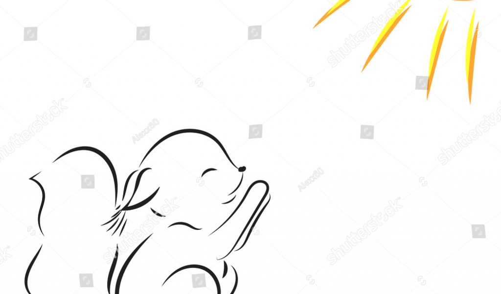 1024x600 Ostrich Coloring Sheet With Stock Vector - Sun Outline Drawing