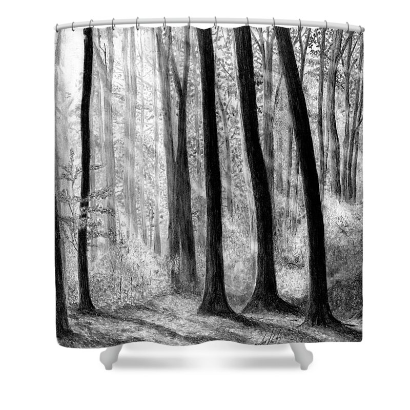 800x800 sun rays through the trees drawing shower curtain for sale - Sun Rays Drawing