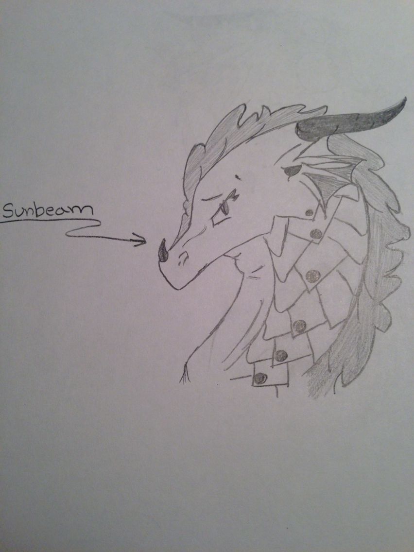 852x1136 sunbeam the rainwing sandwing hybrid wings of fire dragons drawing - Sunbeam Drawing