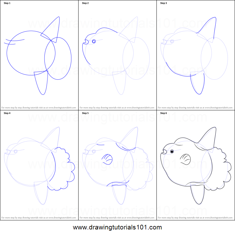 751x755 how to draw a ocean sunfish printable step - Sunfish Drawing