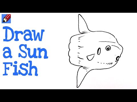 Sunfish Drawing at PaintingValley.com | Explore collection of Sunfish ...