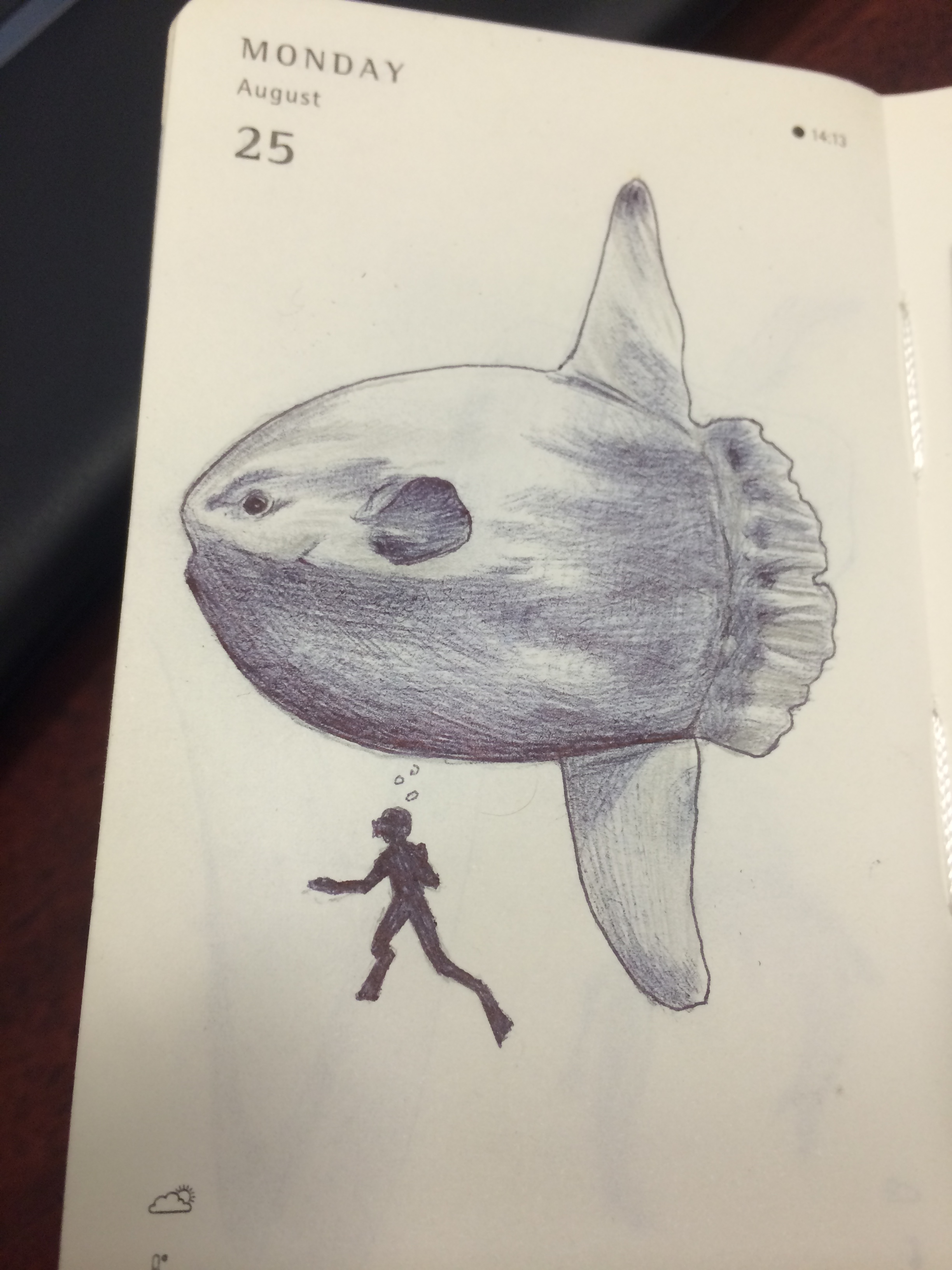 2448x3264 mnaitodesigns keeping it as real as possible, one drawing - Sunfish Drawing