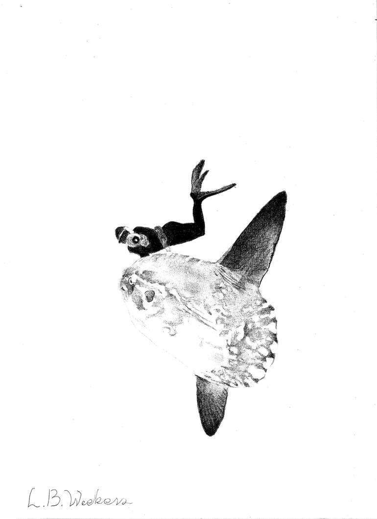 770x1059 ocean sunfish with diver drawing - Sunfish Drawing