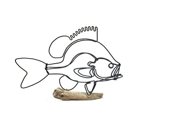 570x441 sunfish wire sculpture, fish wire art, fish art - Sunfish Drawing