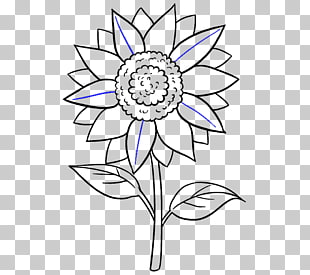 310x275 Black And White Sunflowers Png Cliparts For Free Download Uihere - Sunflower Black And White Drawing