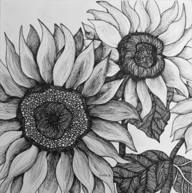 375x376 Two Sunflowers Drawing - Sunflower Black And White Drawing