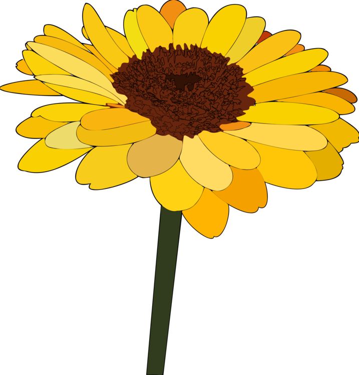 717x750 Common Sunflower Cartoon Drawing Daisy Family Cc0 - Sunflower Cartoon Drawing