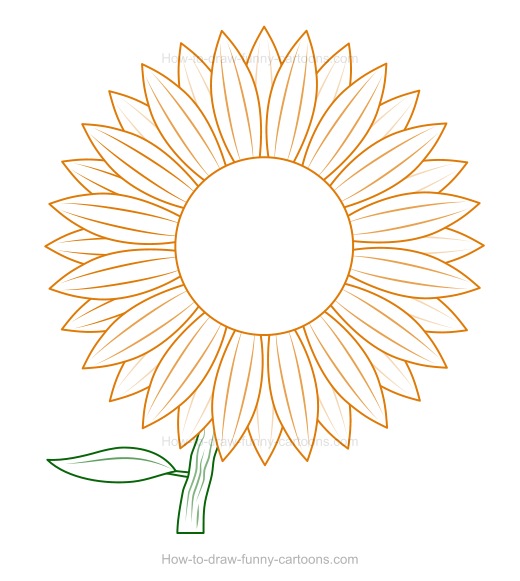 520x581 How To Draw A Sunflower - Sunflower Cartoon Drawing