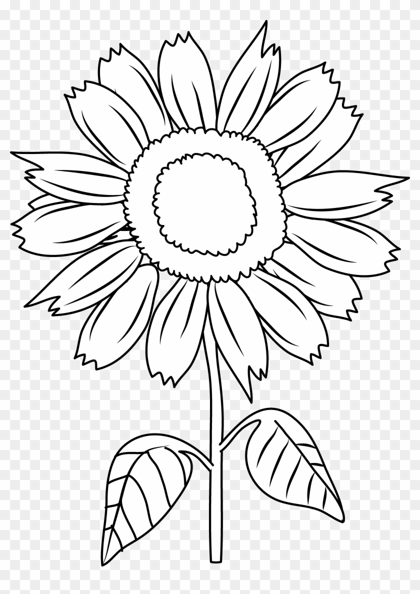 840x1188 Pretty Sunflower Coloring Page - Sunflower Cartoon Drawing