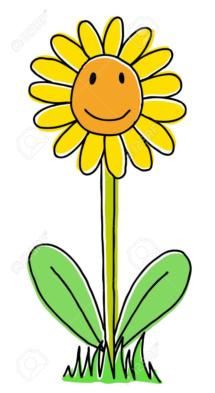 711x1300 sunflower cartoon drawing joy hand drawn sunflower, cartoon - Sunflower Cartoon Drawing