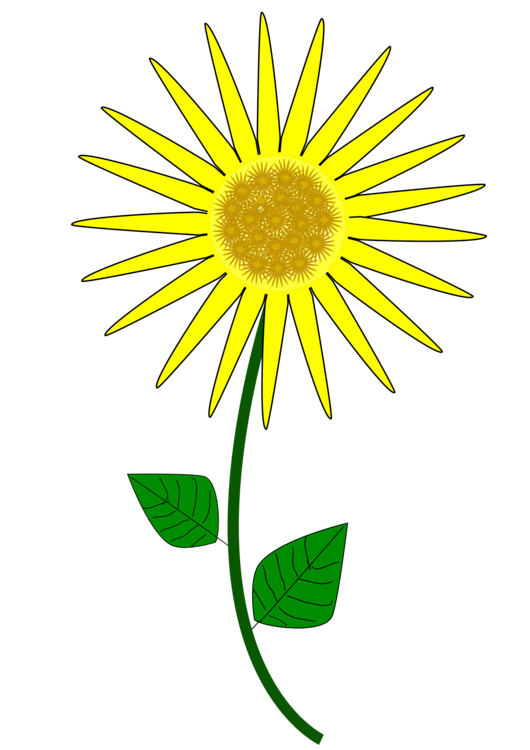 530x750 Common Sunflower Cartoon Animation Drawing Download Cc0 - Sunflower Cartoon Drawing