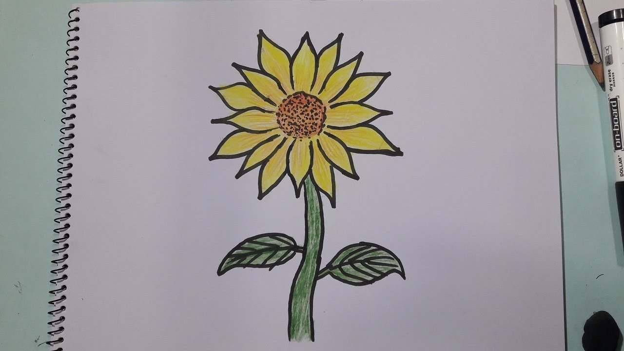 1280x720 How To Draw A Sunflower Easy Step - Sunflower Drawing