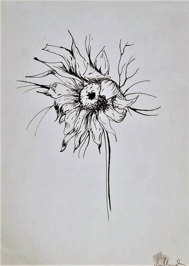 375x529 Messy Sunflower Drawing - Sunflower Drawing