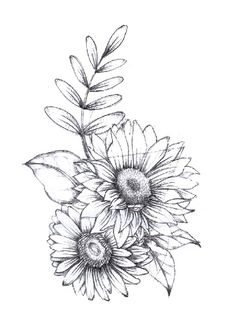 Sunflower Drawing At Paintingvalley.com 