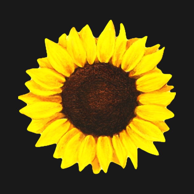630x630 Sunflower Drawing - Sunflower Drawing