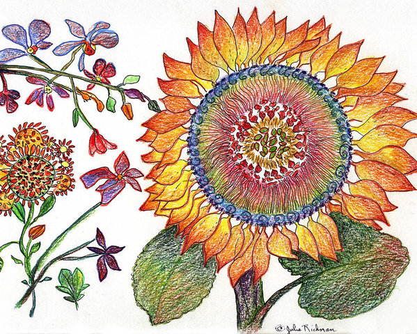 599x480 Botanical Flower Sunflower Drawing Poster - Sunflower Drawing