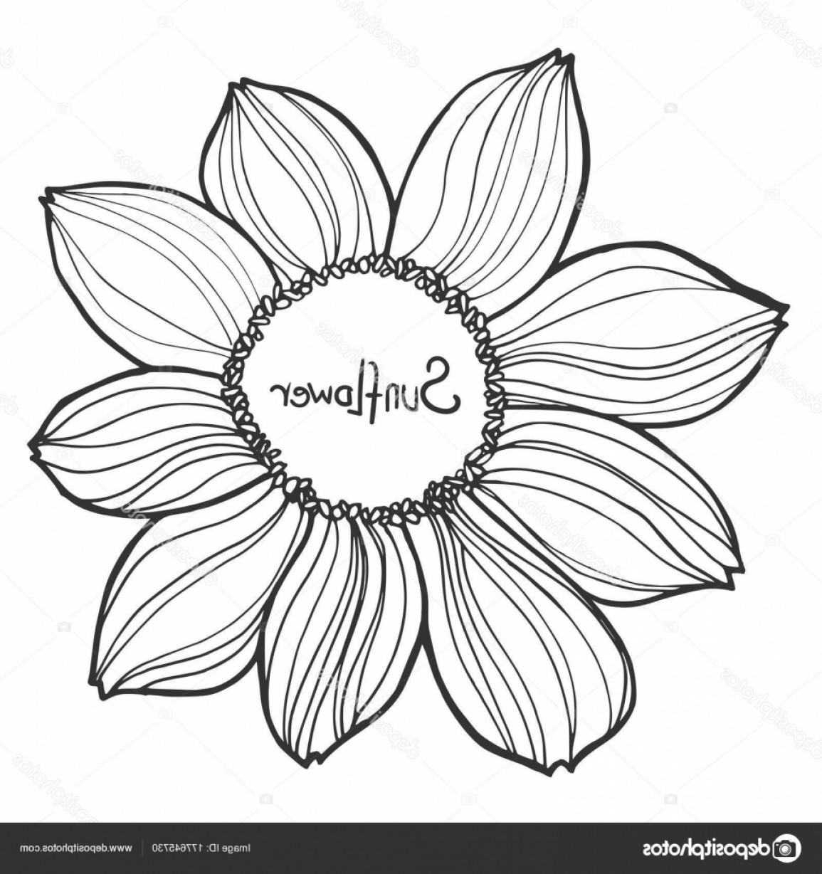 1155x1228 black and white sunflower vector sohadacouri - Sunflower Drawing Black And White