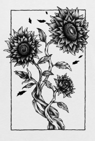 190x281 Sunflower Drawing Black And White Women's Rolled Sleeve T Shirt - Sunflower Drawing Black And White