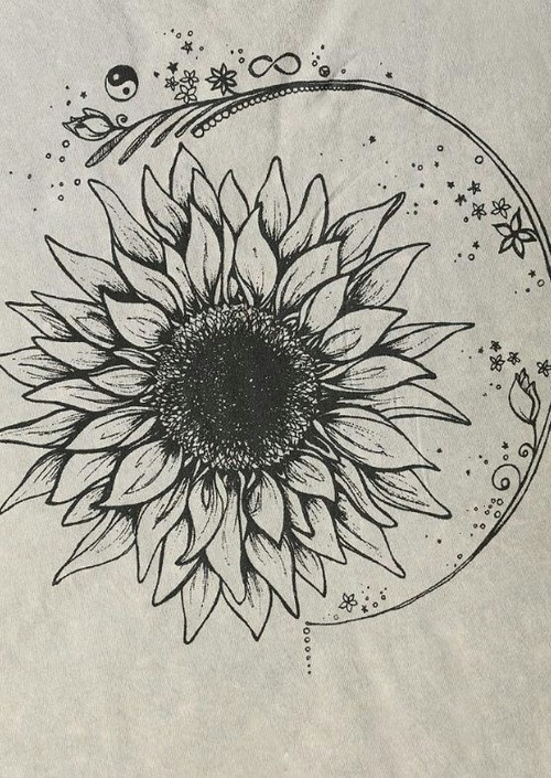 500x705 Sunflower Drawing Shared - Sunflower Drawing Black And White