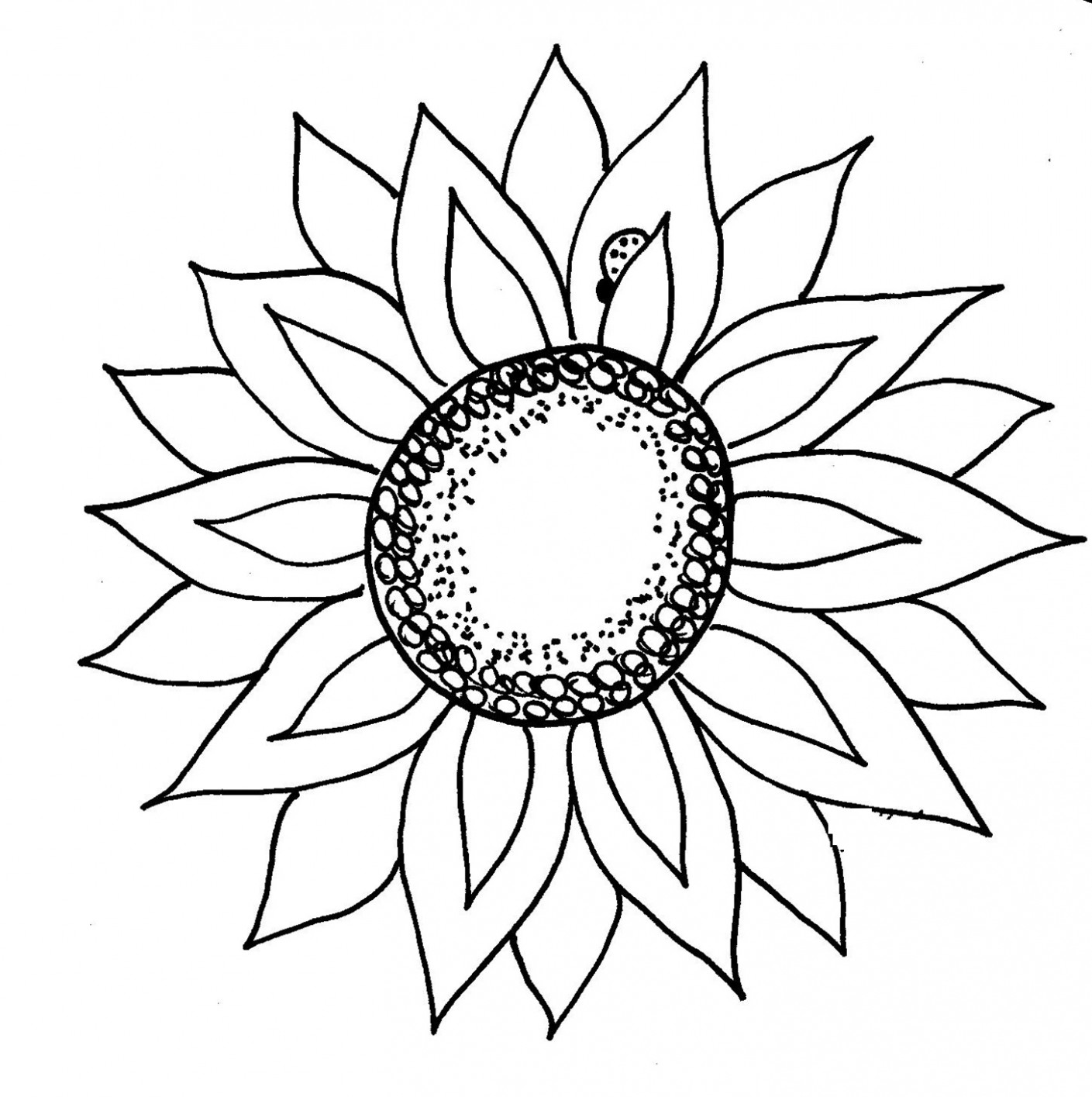 1409x1415 sunflower black and white drawing black and white sunflower - Sunflower Drawing Black And White