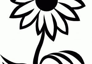 300x210 Black And White Sunflower Drawing - Sunflower Drawing Black And White