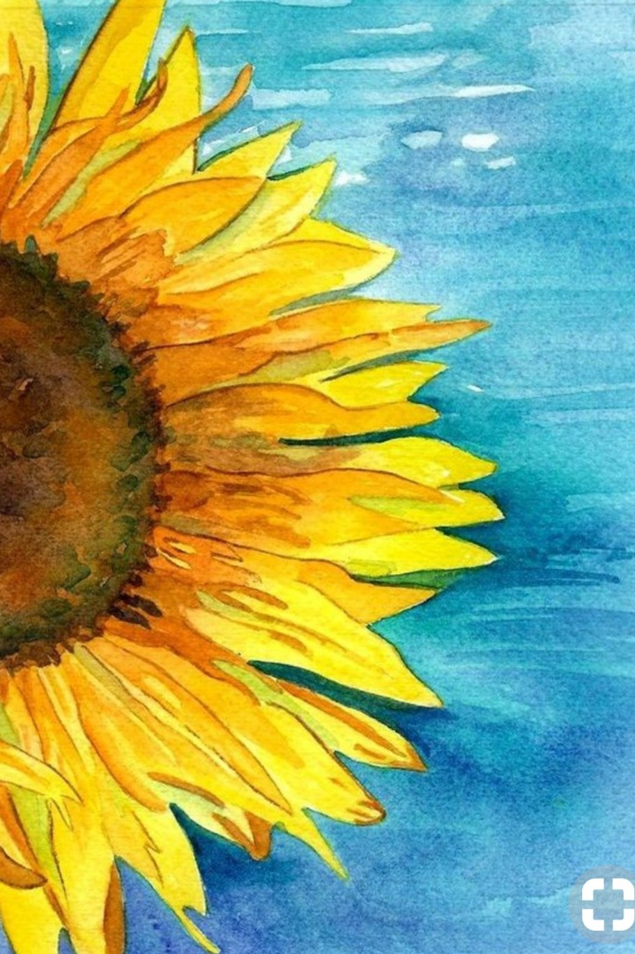 911x1368 Lindsey Walton Painting - Sunflower Drawing Color