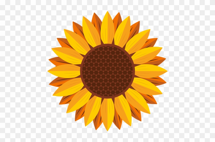 840x555 How To Draw A Sunflower Really Easy Drawing Tutorial - Sunflower Drawing For Kid
