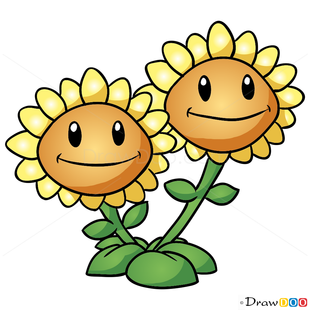 1000x1000 how to draw twin sunflower, plants vs zombies - Sunflower Drawing For Kid