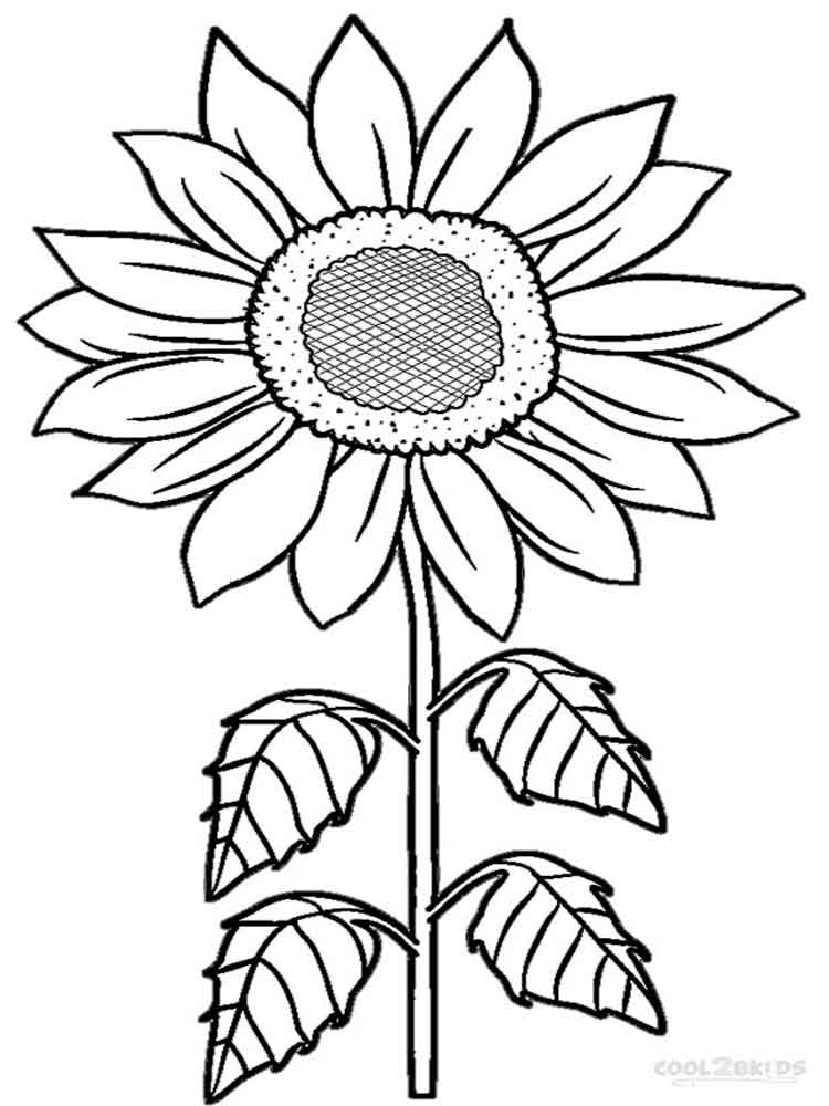 750x1000 Sunflower Drawing For Kids At Getdrawings Com Free Personal - Sunflower Drawing For Kid
