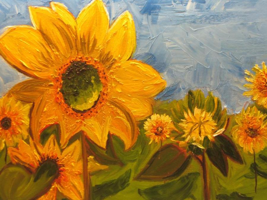 900x675 Sunflower Field Flowers Drawings Pictures Drawings Ideas - Sunflower Drawing For Kid