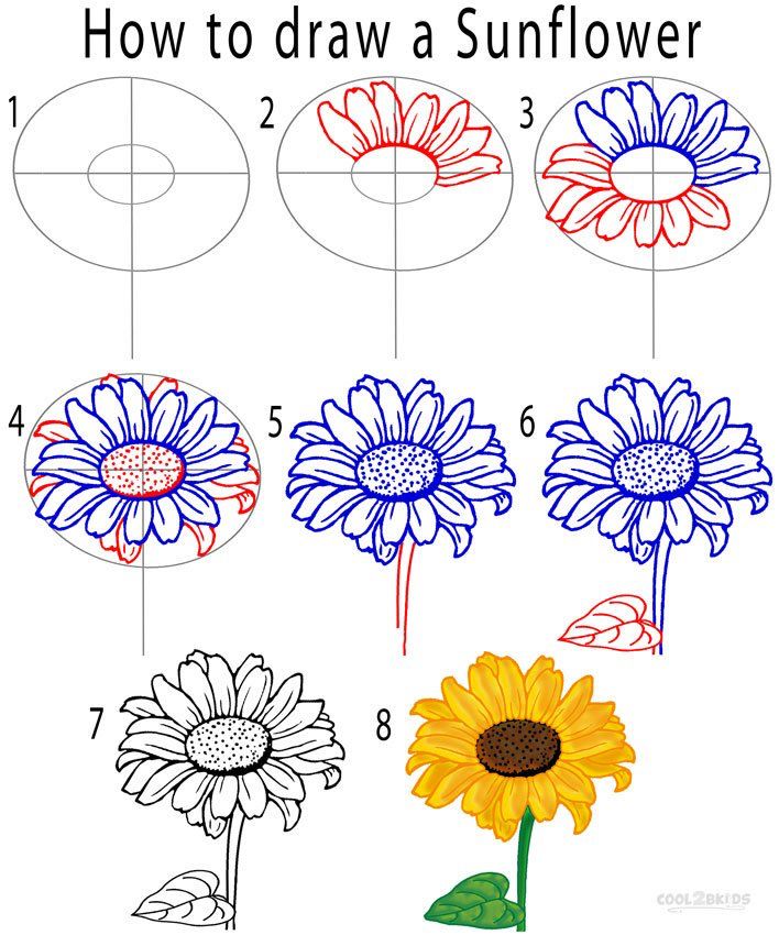 708x850 sunflower drawing easy sunflower drawing tutorial how to art - Sunflower Drawing For Kid