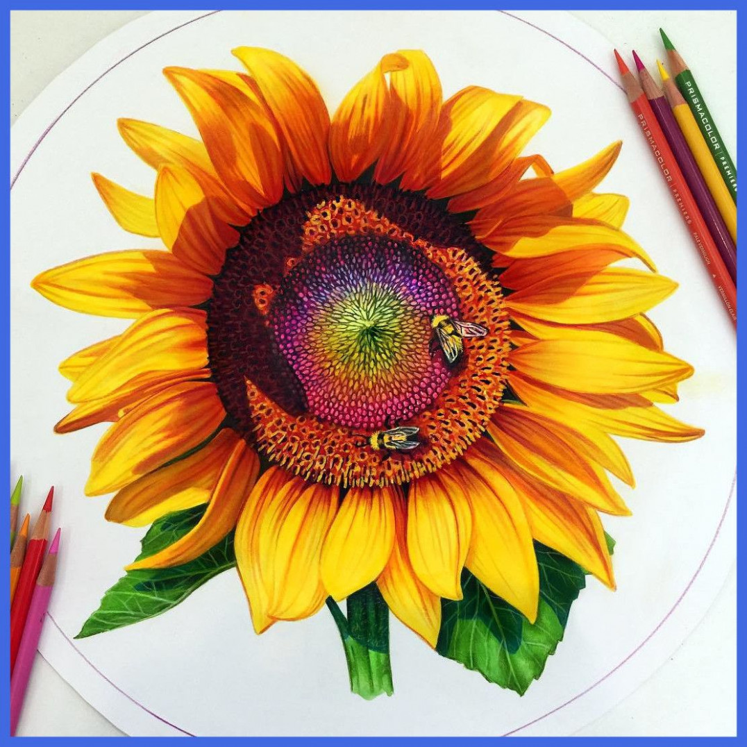 1076x1076 Astonishing Sunflower Drawing Color Tumblr Clipartxtras Pic - Sunflower Drawing For Kid