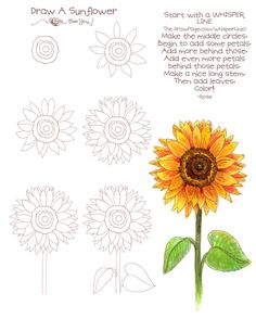 Sunflower Drawing For Kid at PaintingValley.com | Explore collection of ...