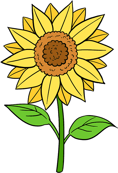 Drawing Easy Sunflower Max Installer
