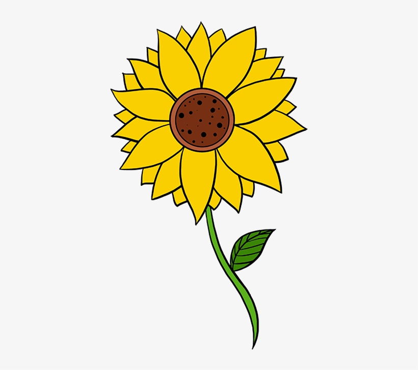 Sunflower Drawing For Kid at Explore collection of