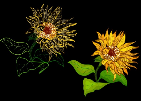 600x433 sunflowers drawing contrast design handdrawn sketch free vector - Sunflower Drawing Images Free