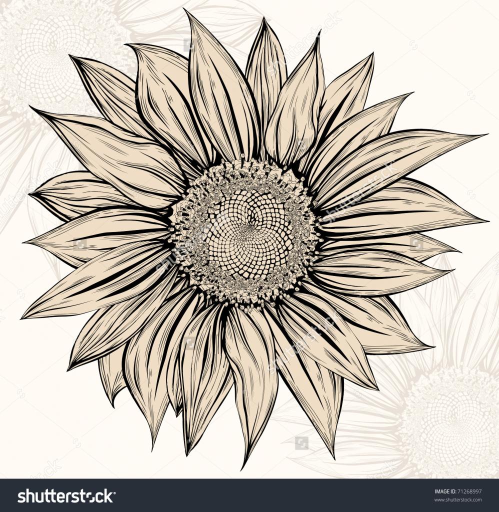 998x1024 Unique Sunflower Drawing Images Free Design - Sunflower Drawing Images Free