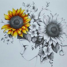 236x236 how to draw sunflowers - Sunflower Drawing Pictures
