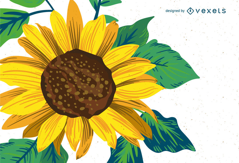 835x570 bright sunflower drawing - Sunflower Drawing Pictures
