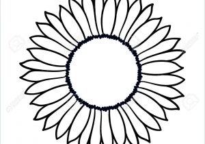 300x210 black and white sunflower drawing sunflower drawing - Sunflower Drawing Simple