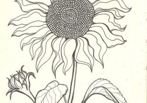 300x210 easy sunflower sketches sunflower drawing simple at getdrawings - Sunflower Drawing Simple