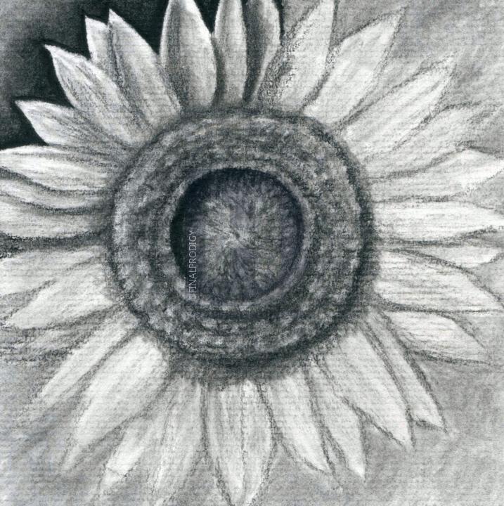 717x720 how to draw a sunflower, realistic sunflower, step - Sunflower Drawing Simple