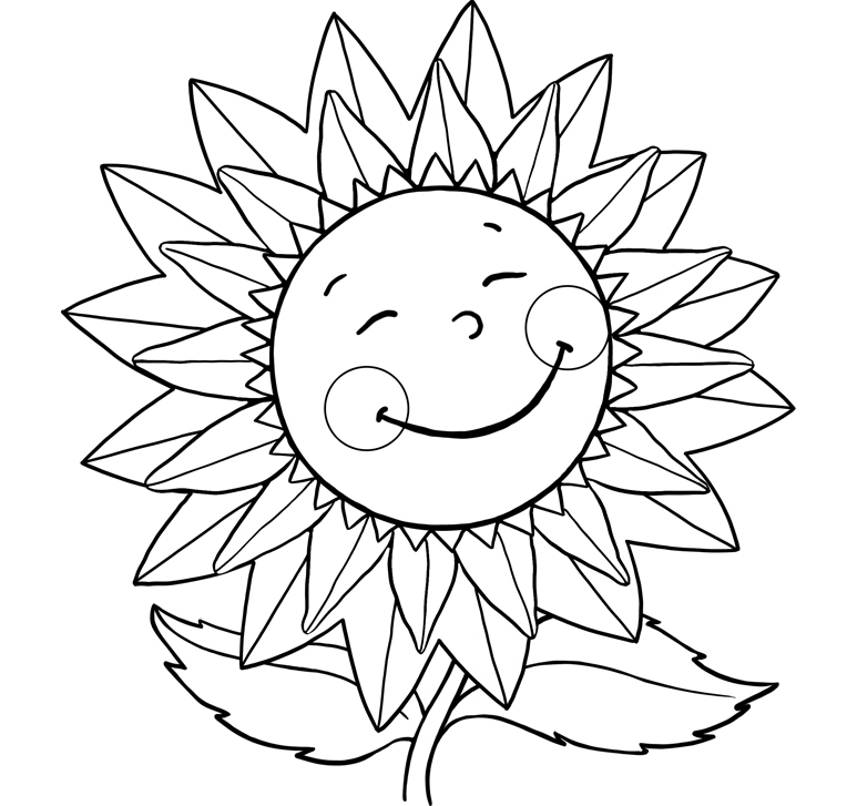 773x727 sunflower pictures to colour in sunflower drawing simple - Sunflower Drawing Simple