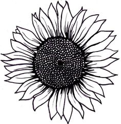236x243 Best Sunflower Drawing Images In How To Paint - Sunflower Drawing Simple