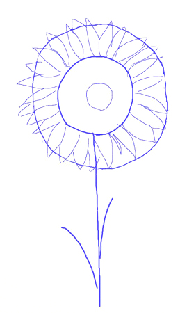259x450 How To Draw A Sunflower - Sunflower Drawing Step By Step