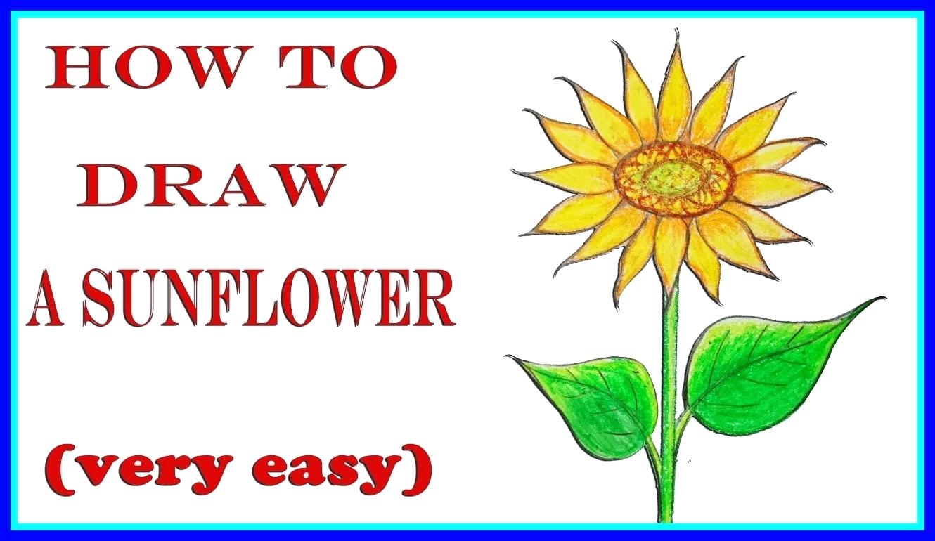 1330x770 sunflower drawing for kids drawing for kids drawn sunflower easy - Sunflower Drawing Step By Step