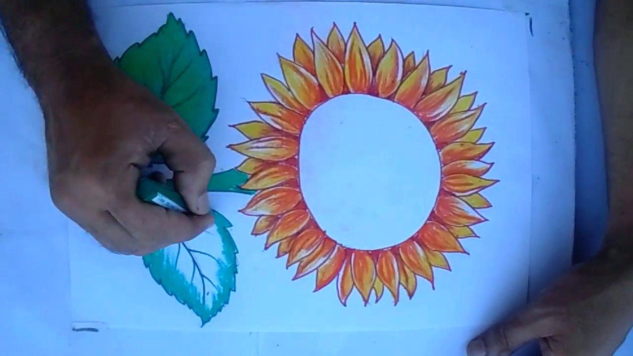 1280x720 sunflower drawing for kids how to draw a sunflower video step - Sunflower Drawing Step By Step
