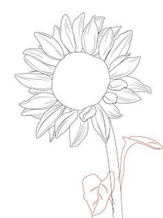 236x314 How To Sketch A Sunflower Doodles Drawings, Tattoos And Art - Sunflower Drawing Step By Step