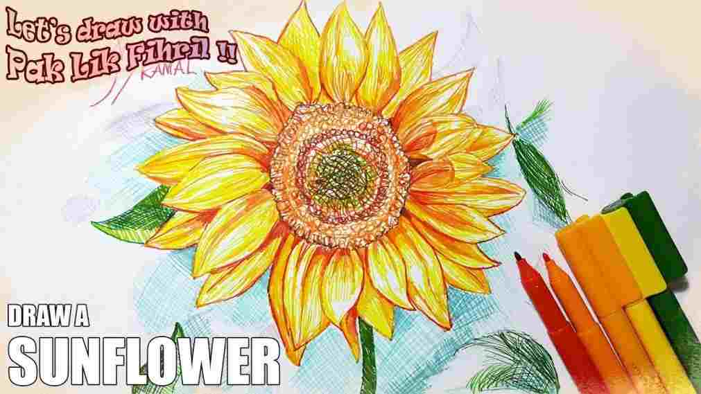 Sunflower Drawing Step By Step At Paintingvalley.com 