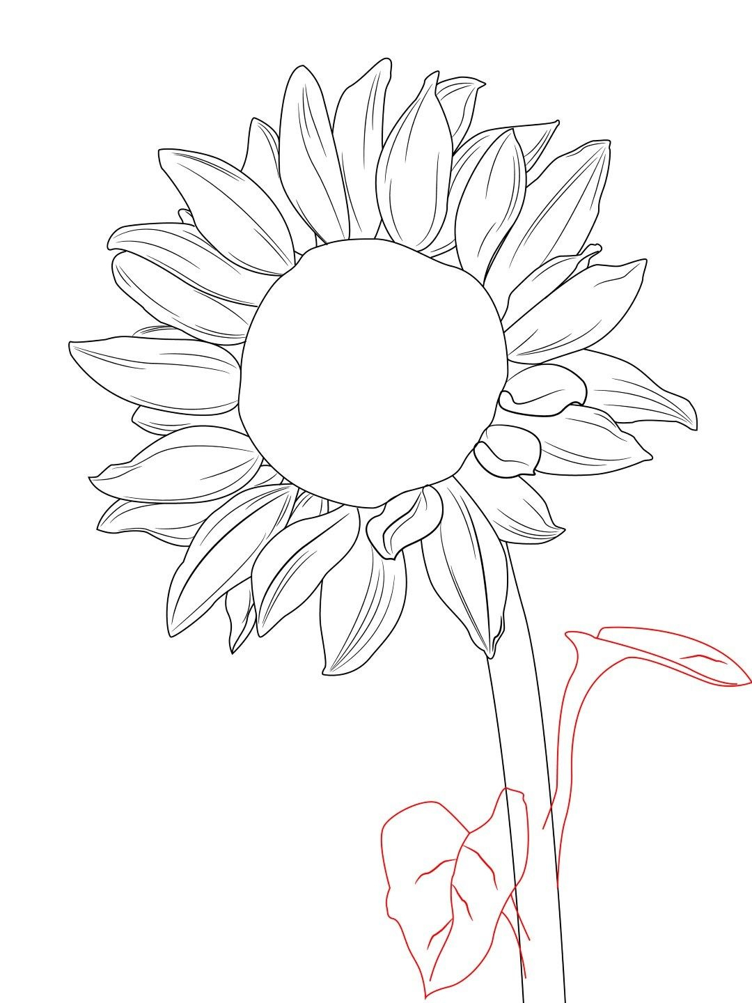 1080x1440 easy sunflower drawing simple sunflower drawing at getdrawings - Sunflower Drawing Step By Step